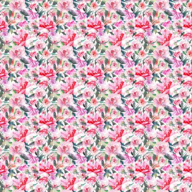 Güzel ihale nazik sofistike harika güzel şirin bahar çiçek bitki botanik kırmızı toz pembe güller yeşil yaprakları desen suluboya el kroki ile. Tebrik kartı, tekstil, duvar kağıtları için. 