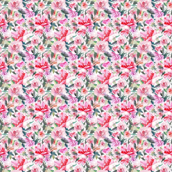 美しい入札穏やかな洗練された素晴らしい素敵なかわいい春の花ハーブ植物赤粉末ピンクのバラを緑の葉パターン水彩手スケッチ グリーティング カード テキスタイル — ストック写真