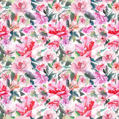 Güzel ihale nazik sofistike harika güzel şirin bahar çiçek bitki botanik kırmızı toz pembe güller yeşil yaprakları desen suluboya el kroki ile