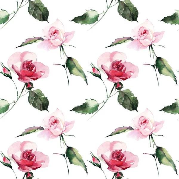 美丽温柔精致可爱的可爱春天花卉草本植物红色粉状粉红色玫瑰绿叶图案水彩手素描 — 图库照片