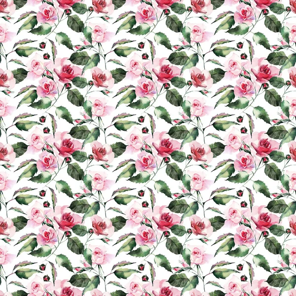 Красивый Нежный Нежный Сложный Прекрасный Прекрасный Милый Весенний Цветочный Травяной — стоковое фото
