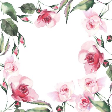 Güzel parlak sofistike harika güzel sevimli ilkbahar yaz çiçek bitki botanik kırmızı toz pembe güller yeşil yaprakları çerçeve suluboya el kroki ile. Kartları için mükemmel