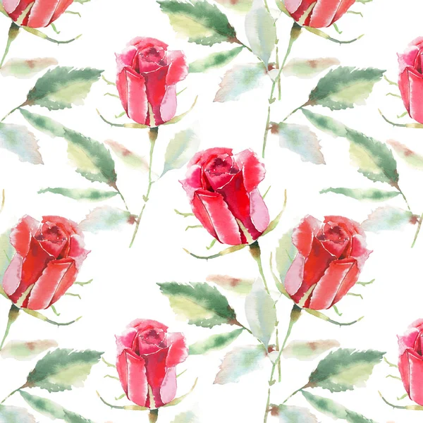 Güzel parlak sofistike harika güzel bahar yaz çiçek bitki botanik parlak kırmızı rustik gül yeşil yaprakları desen suluboya el kroki ile. Kartları mükemmel Tekstil