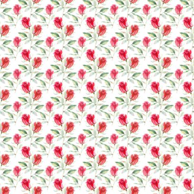 Güzel parlak sofistike harika güzel bahar yaz çiçek bitki botanik parlak kırmızı rustik gül yeşil yaprakları desen suluboya el kroki ile. Kartları mükemmel Tekstil