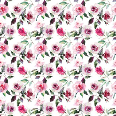 İhale nazik sofistike harika güzel şirin bahar çiçek bitki botanik kırmızı toz pembe Mor gül yeşil yaprakları desen suluboya el kroki ile. Tekstil için mükemmel