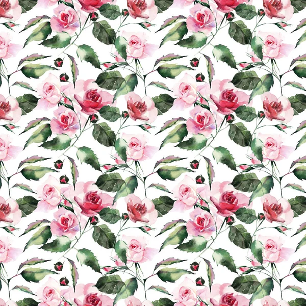 Tender gentle sophisticated wonderful lovely cute spring floral herbal botanical red powdery pink violet roses with green leaves pattern watercolor hand sketch. Perfect for textile