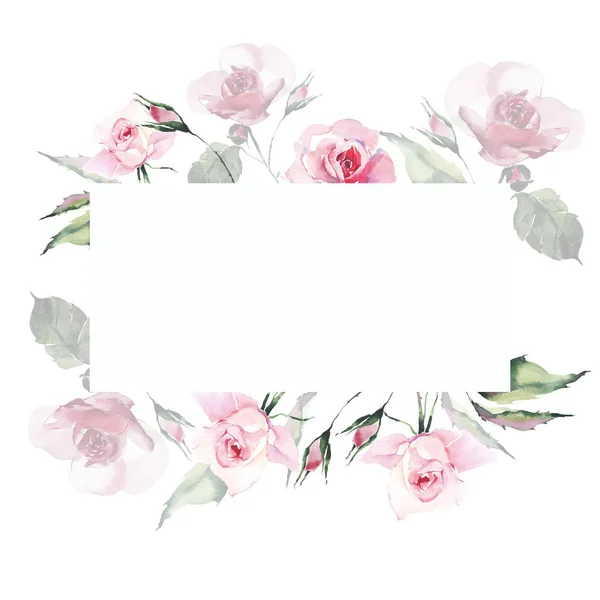 İhale nazik sofistike harika güzel şirin bahar çiçek bitki botanik toz hafif pembe güller yeşil yaprakları kartı suluboya el çizim ile. Tebrik kartları için mükemmel