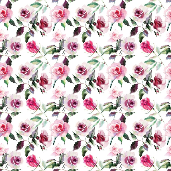 Tender gentle sophisticated wonderful lovely cute spring floral herbal botanical red powdery pink violet roses with green leaves pattern watercolor hand sketch. Perfect for textile