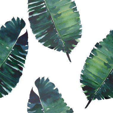  Tropikal tatlı güzel harika hawaii bitkisel yaz yeşil çiçek palm suluboya el illüstrasyon bırakır. Tekstil, duvar kağıtları, kartları için mükemmel