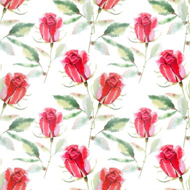 Güzel parlak sofistike harika güzel bahar yaz çiçek bitki botanik parlak kırmızı rustik gül yeşil yaprakları desen suluboya el kroki ile. Kartları mükemmel Tekstil