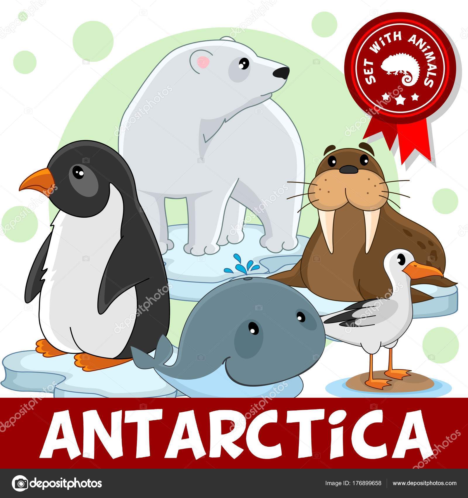 Sett Med Tegneseriedyr Som Lever Antarktis Barn Design Illustrasjon Isbjørn  stockvektor © huhabra #176899658, image size:963x1024