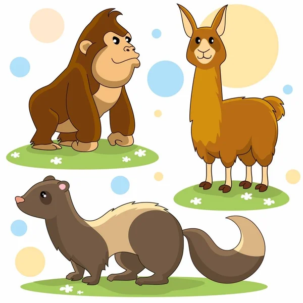 Conjunto Dibujos Animados Para Niños Diseño Imagen Chimpancé Hurón Llama — Vector de stock