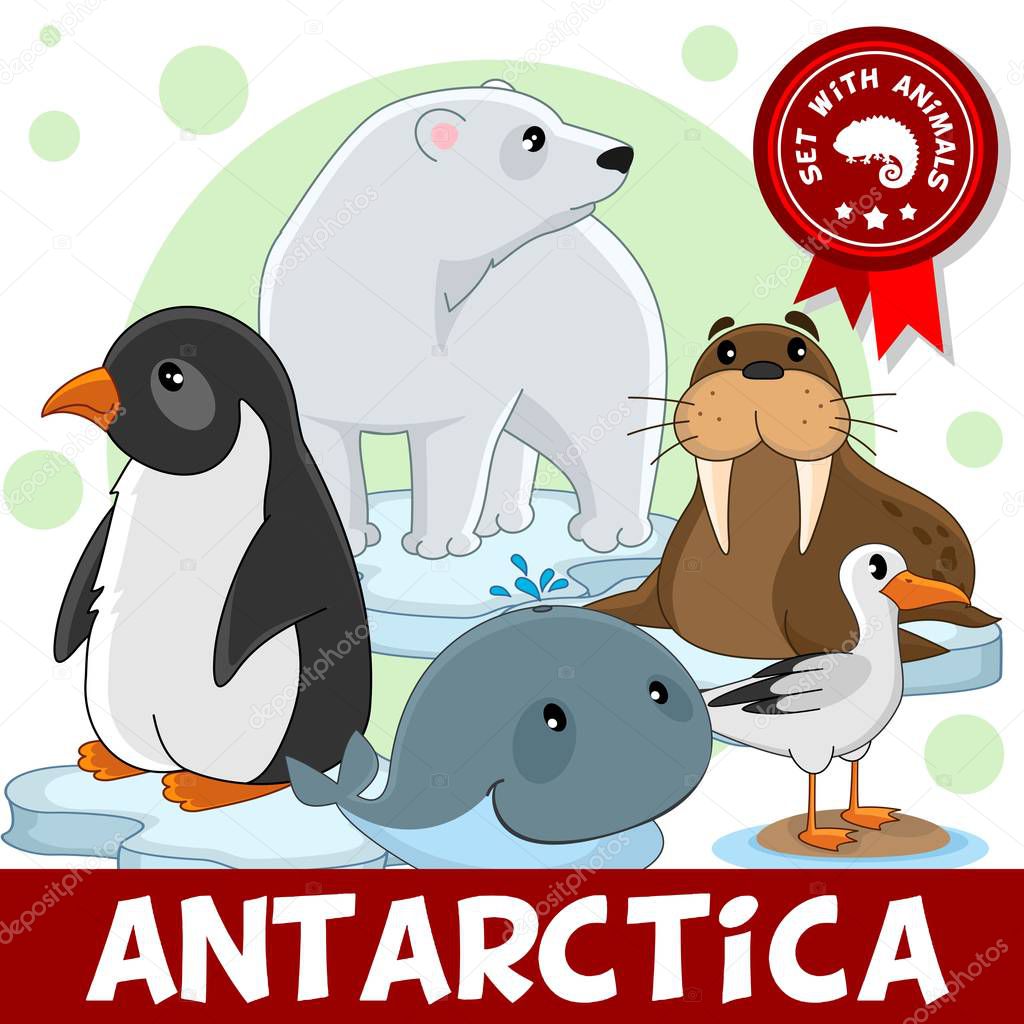 A set of cartoon animals living in Antarctica for children and design. Illustration of a polar bear, a penguin, a walrus, a whale and a seagull on an ice floe.