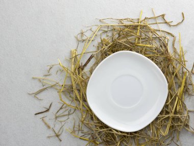 Beyaz arka planda izole edilmiş bir kamışın üzerindeki bir tabak.