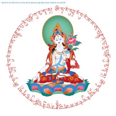 Beyaz Tara Tibet Budizmi içinde bir kadın Buda Vajrayana Budizm gibi görünen bir kadın ermiş Mahayana Budizm var. Buda. Renk tasarımı. Vektör çizim.