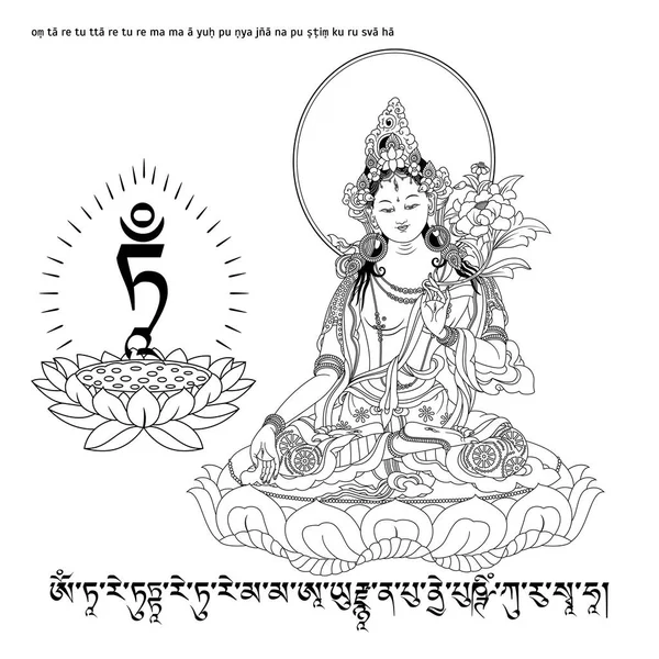 White Tara in Tibetan Buddhism, is a female Bodhisattva in Mahayana Buddhism who appears as a female Buddha in Vajrayana Buddhism. Buddha. — Stock Vector
