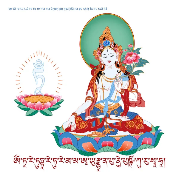 Fehér Tara, a tibeti buddhizmus, a mahájána buddhizmus egy nőstény bódhiszattva, aki úgy tűnik, mint egy női Buddha a vadzsrajána buddhizmus. Buddha. — Stock Vector