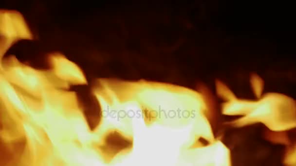 Le feu brûle dans les ténèbres 