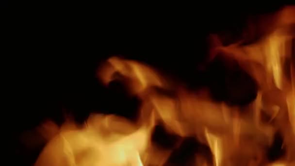 The fire burns in the darkness — Stock Video