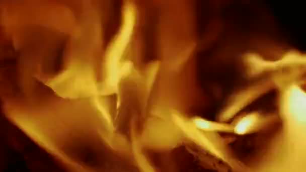 Le feu brûle dans les ténèbres 