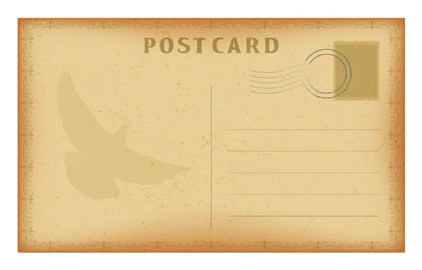Векторная старая открытка с рамкой и голубем. Огромная бумажная винтажная открытка . — стоковый вектор