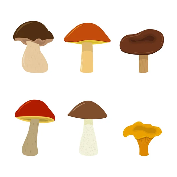 矢量蘑菇套。白色背景卡通蘑菇上孤立. — 图库矢量图片