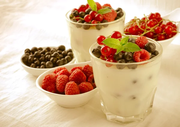 Sweet dessert, pudding, panna cotta with mix berries and mint — Stock Photo, Image