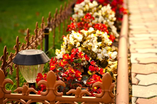 Каменная дорожка в саду окружена красочными цветами, осенний фон — стоковое фото