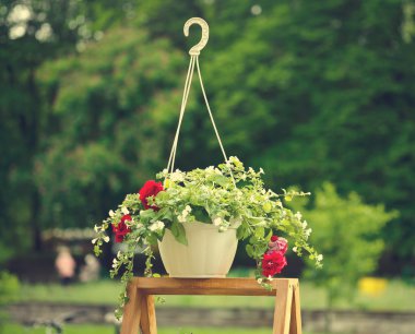 Bir ahşap stand tencere asılı içinde renkli çiçekler