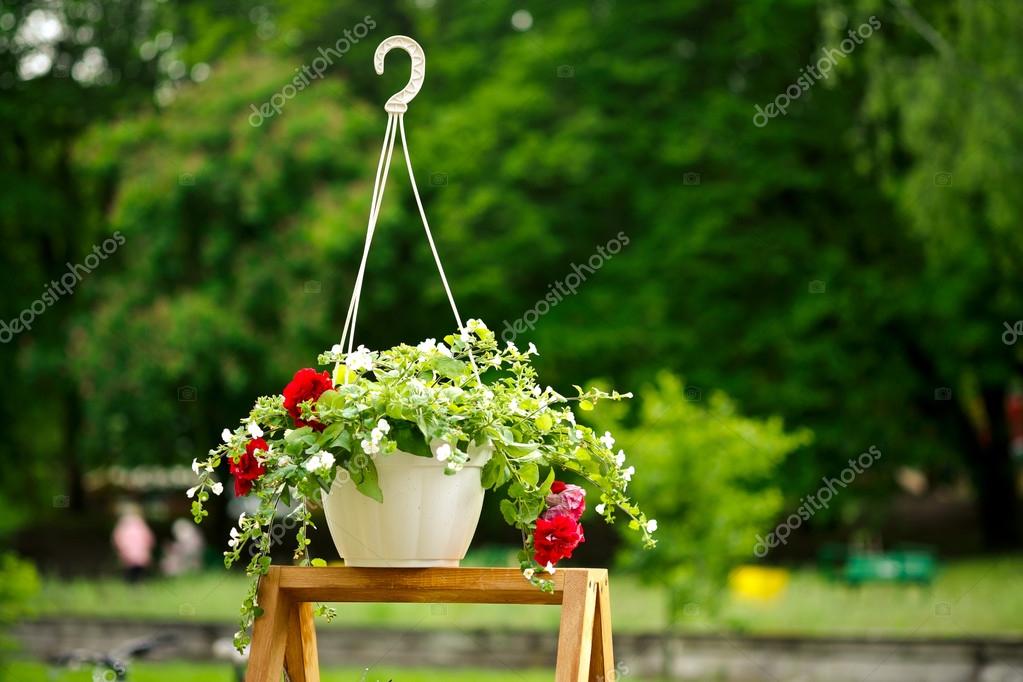 Colorful flowers in hanging pots, on a wooden stand Stock Photo by