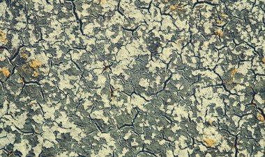 eski taş duvar dokusu arkaplanı