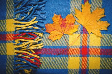 Mavi vintage battaniye ekose kareli wth kopya alanı, doku arka plan