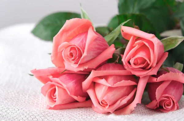 Rózsaszín rózsák, virágok, fehér háttér, kártya Valentin-nap, másolja a hely — Stock Fotó