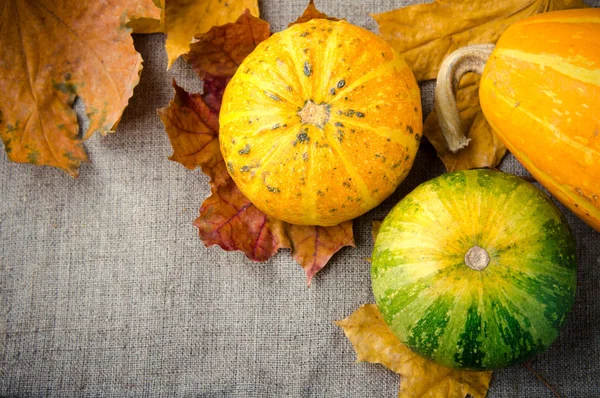 Herfst pompoen en decoratieve squash met Herfstbladeren op een linnen achtergrond — Stockfoto