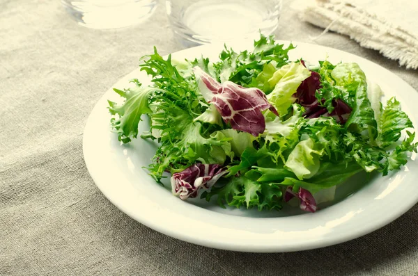 Insalata verde con spinaci, frisee, rucola e radicchio su fondo di legno blu — Foto Stock