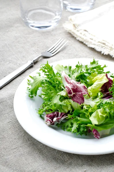 Salada verde com espinafre, frisee, arugula e radicchio no fundo de madeira azul — Fotografia de Stock