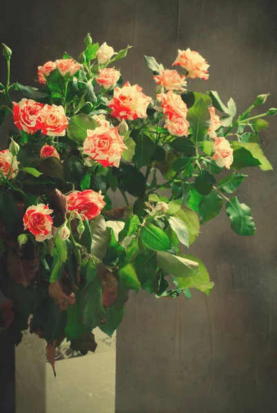 Rosas Tigre, rayas. Flores en Jarrón Blanco sobre Fondo Oscuro, tarjeta para el día de San Valentín, espacio para copiar —  Fotos de Stock