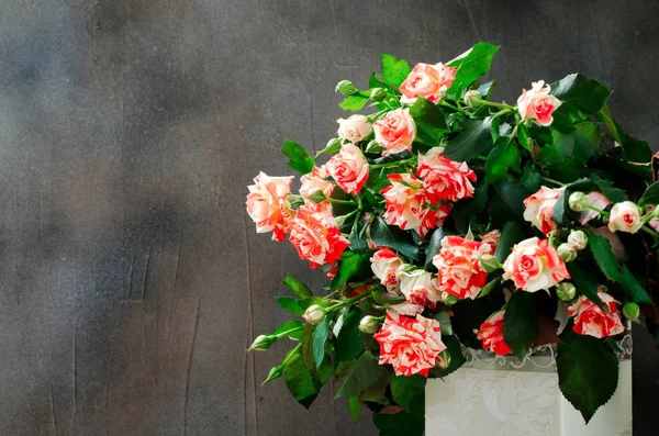 Rosas Tigre, rayas. Flores en Jarrón Blanco sobre Fondo Oscuro, tarjeta para el día de San Valentín, espacio para copiar —  Fotos de Stock