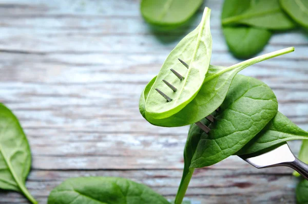 Fresh Baby spinach leaves skewered on a fork, blue wooden background. Top view with copy space. Healthy, Ecology concept — Stock Photo, Image