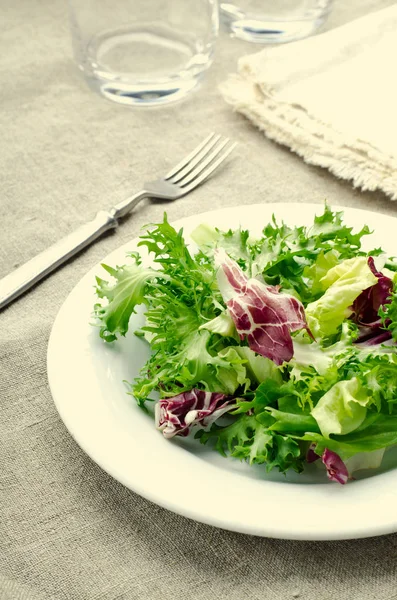 Salada verde com espinafre, frisee, arugula e radicchio no fundo de madeira azul — Fotografia de Stock