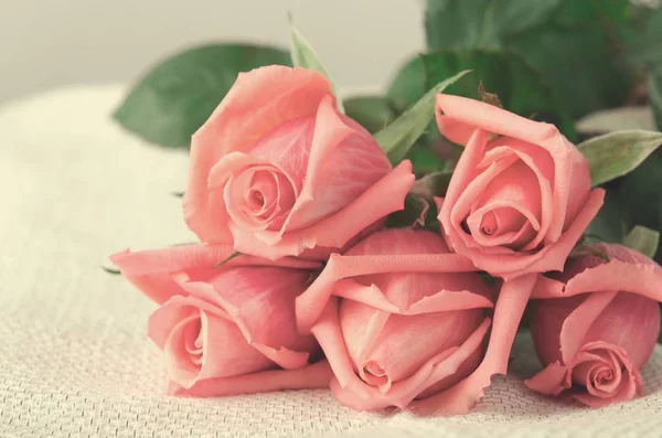 Rosas rosas, Flores sobre fondo blanco, tarjeta para el día de San Valentín, espacio para copiar —  Fotos de Stock