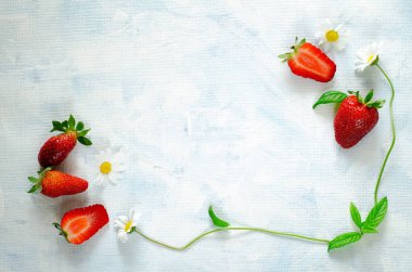 Taze olgun çilek ve papatya çiçekli çerçeve mavi zemin üzerine