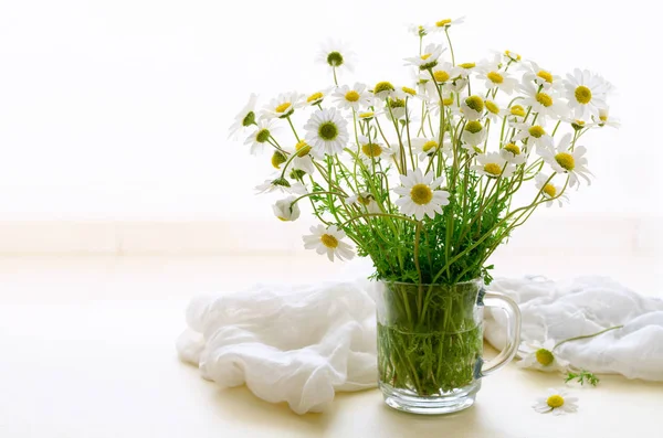 Flores de manzanilla margarita en tarro de vidrio sobre fondo blanco — Foto de Stock