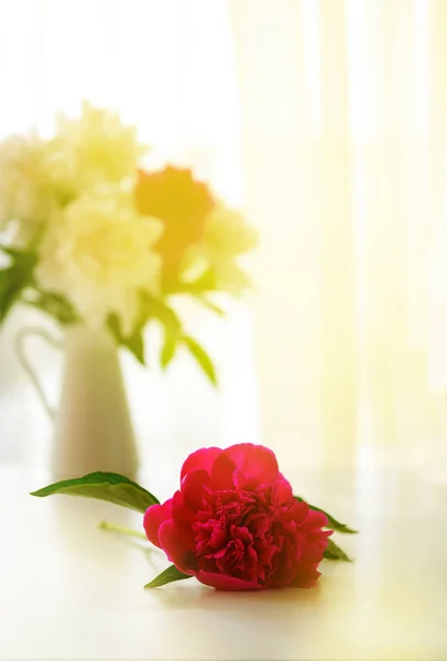 Pivoines blanches et roses en vase sur table blanche — Photo
