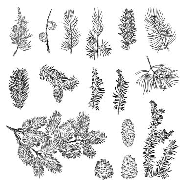 Set vektör Noel şube