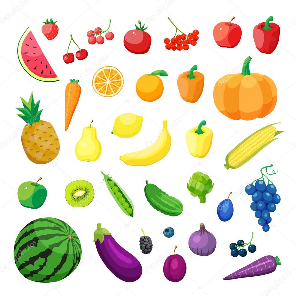 Set of Vector vegetarian organic healthy food cuisine. organic natural realistic vegetable and fruits.