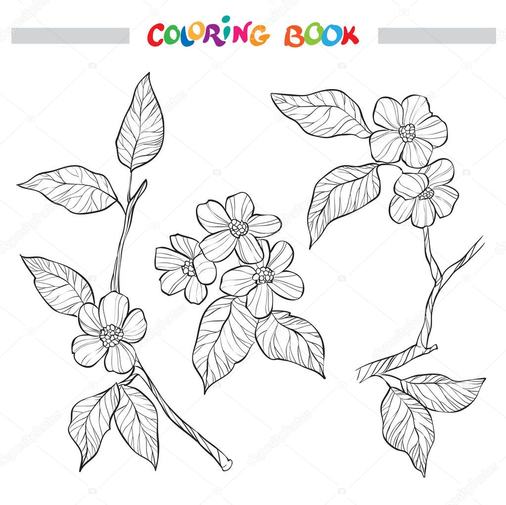 Spring garden branches. Ornate decorative black and white illustration. Elements for coloring book page