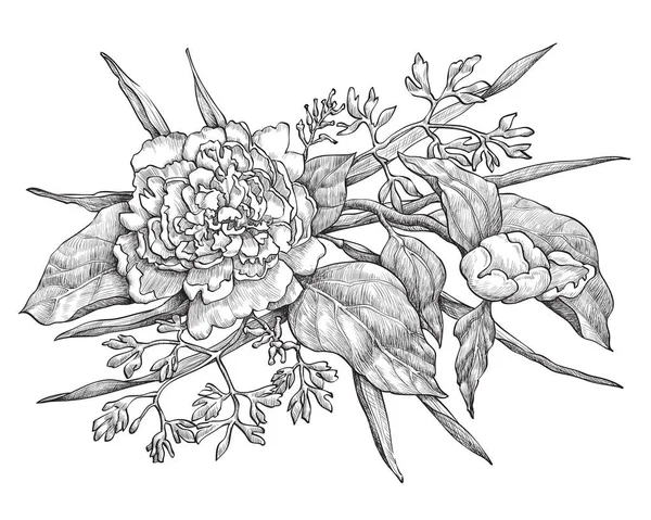 Vettore fiore di peonia isolato su sfondo bianco. Elemento per il design . — Vettoriale Stock