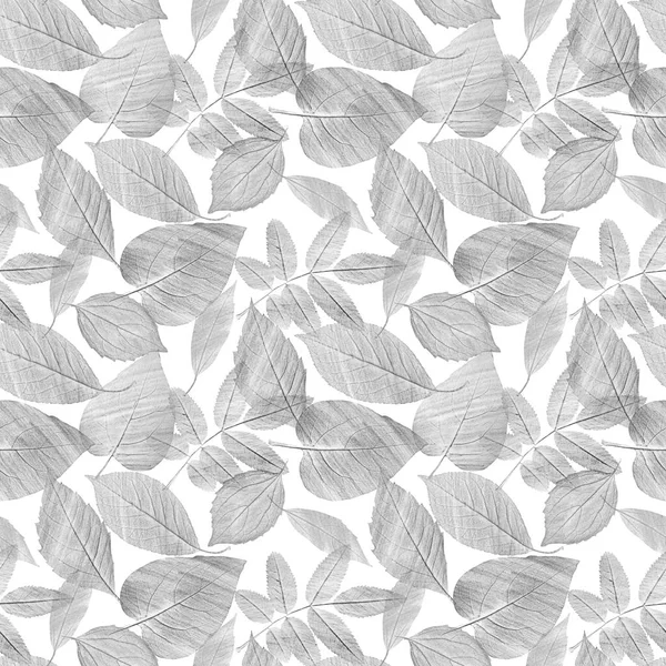 A seamless background pattern with hand draw pencil leaves — Stock Photo, Image