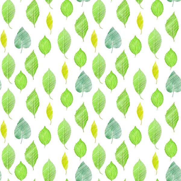 A seamless background pattern with green leaves, toned — Stock Photo, Image